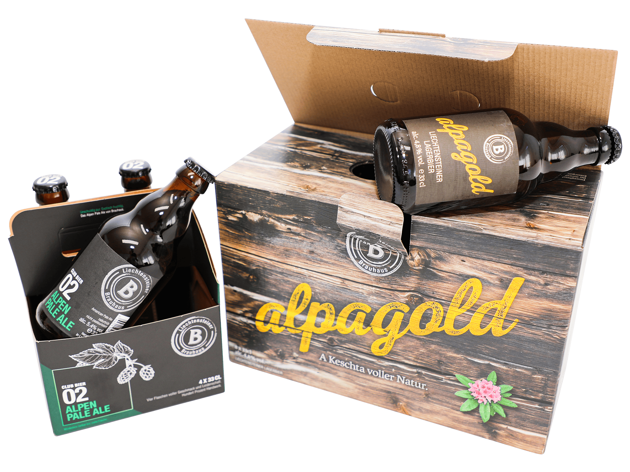 Bierträger und Getränkekarton